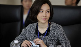 陈数 电视剧,演绎经典角色，诠释时代变迁